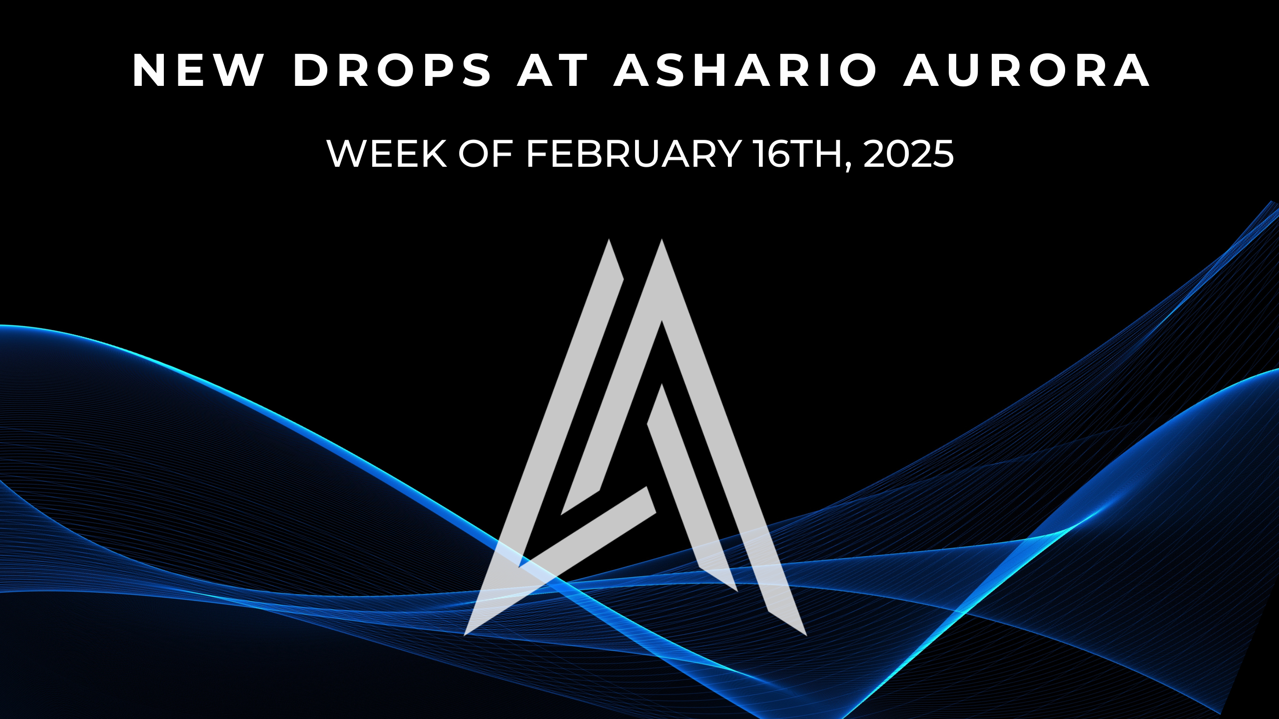 February 16th, 2025 New Product Highlights at Ashario Aurora