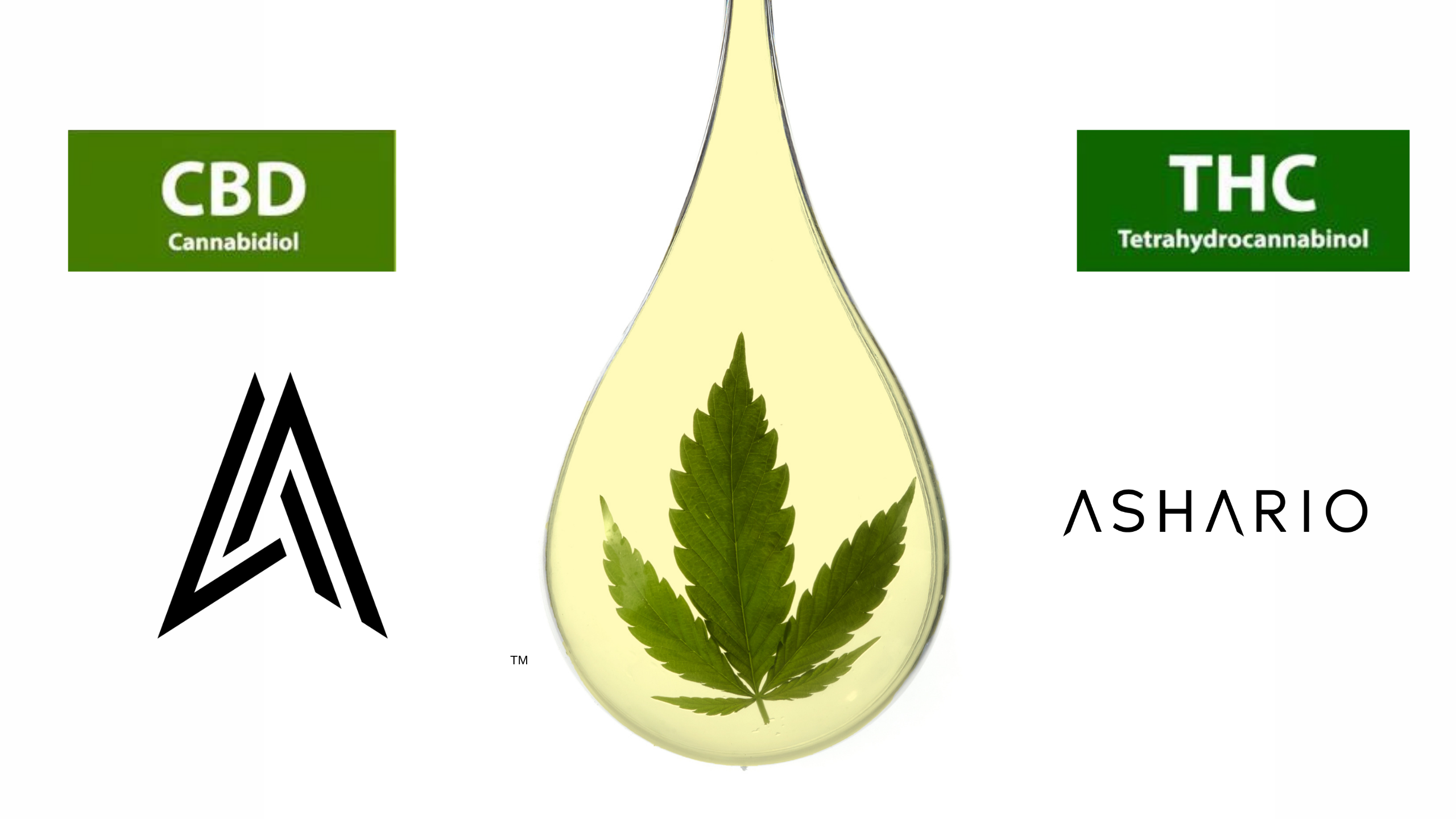 CBD Vs. THC: Differences, Benefits, And Effects – Ashario